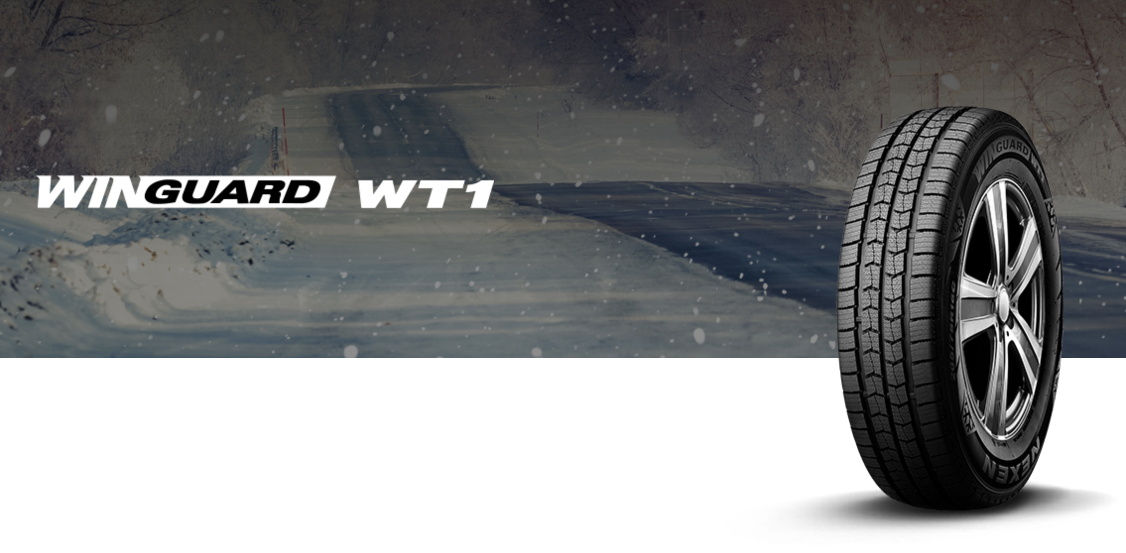 Winguard WT 1